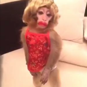 Meet your Posher, Jeremiah